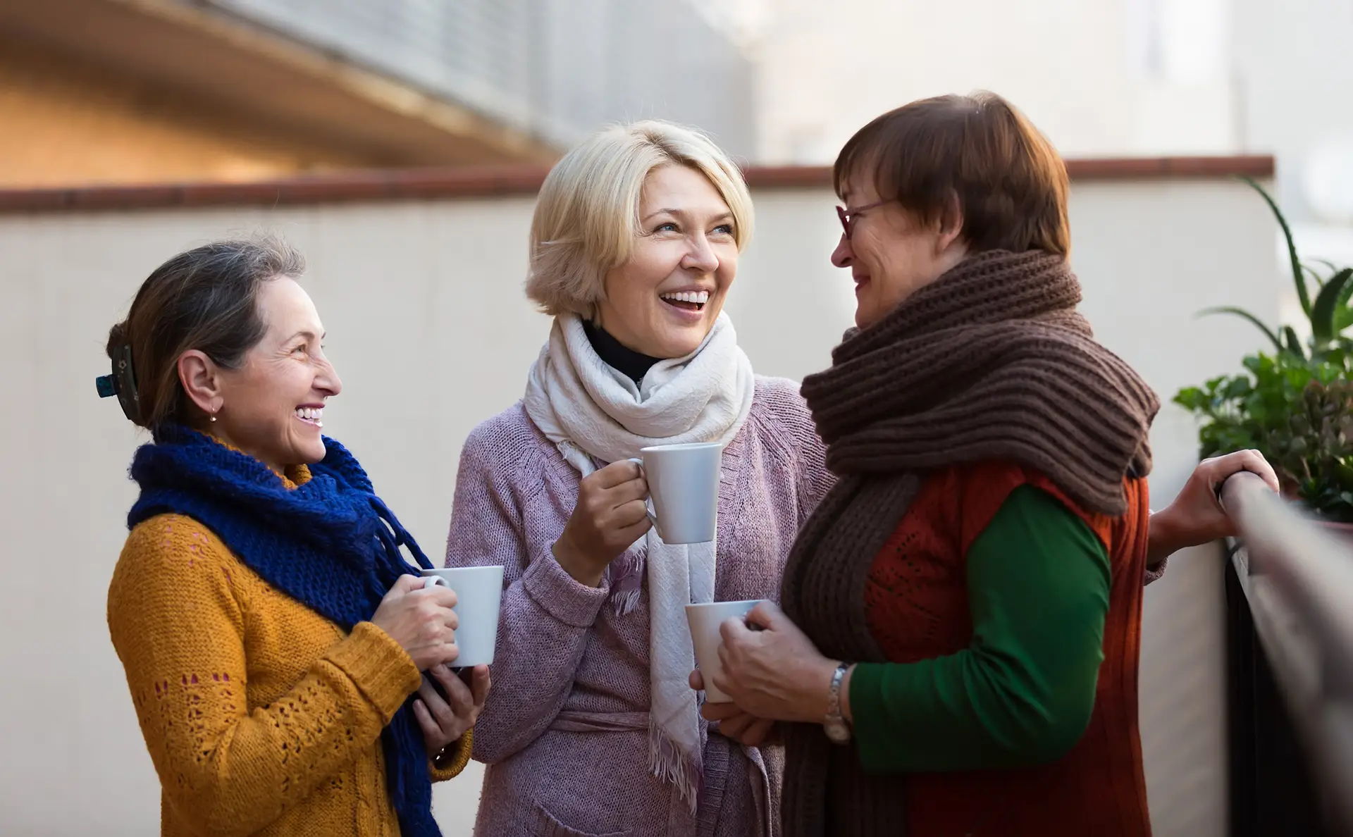 Postmenopausal women talking